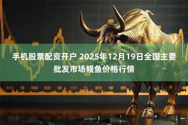 手机股票配资开户 2025年12月19日全国主要批发市场鳗鱼价格行情