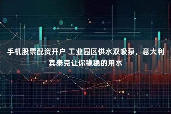 手机股票配资开户 工业园区供水双吸泵，意大利宾泰克让你稳稳的用水