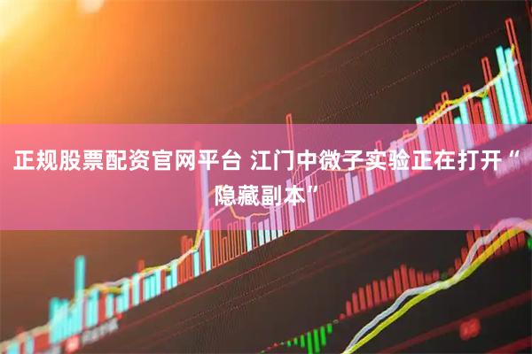 正规股票配资官网平台 江门中微子实验正在打开“隐藏副本”