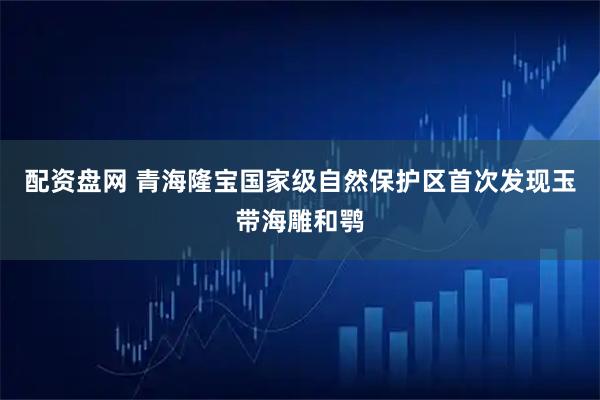 配资盘网 青海隆宝国家级自然保护区首次发现玉带海雕和鹗